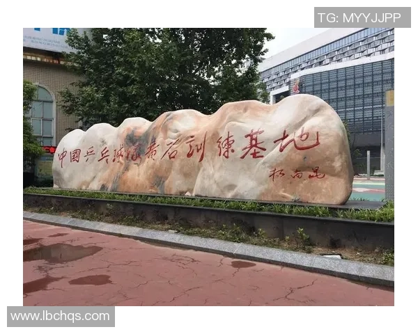 武汉乒乓球队状态分析与未来展望聚焦乒乓球发展新机遇 武汉乒乓球队状态分析与未来展望聚焦乒乓球发展新机遇